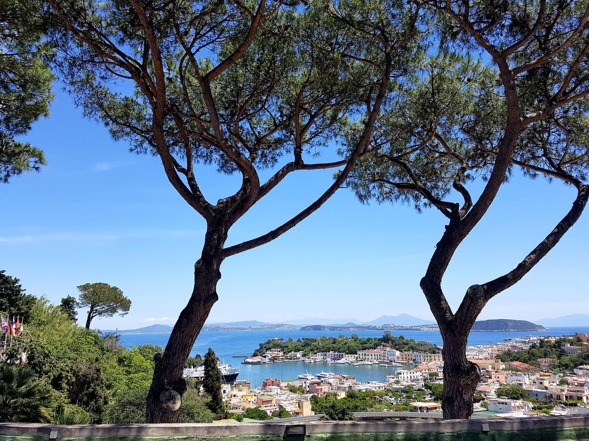 Apartamento Ischia Dream Visions Exterior foto